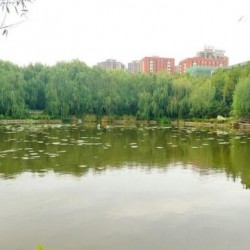 枣庄市滕州市墨子森林公园养老中心