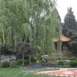 北京市北京康养•颐寿嘉园