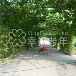 北京市顺义区龚平生态养生园
