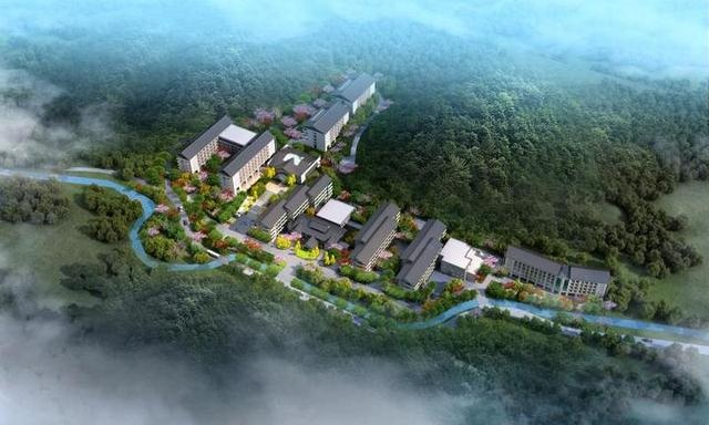 新增养老床位400张、新建改建7家老年食堂，西湖区的老人们有福啦