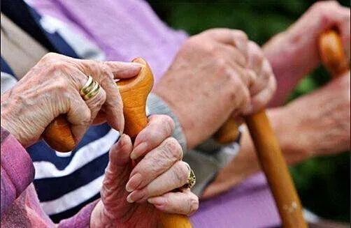 “高端养老+温情服务”？130名老年人被骗355万