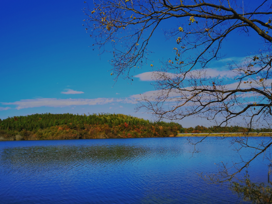 东亭湖 蒋伟摄