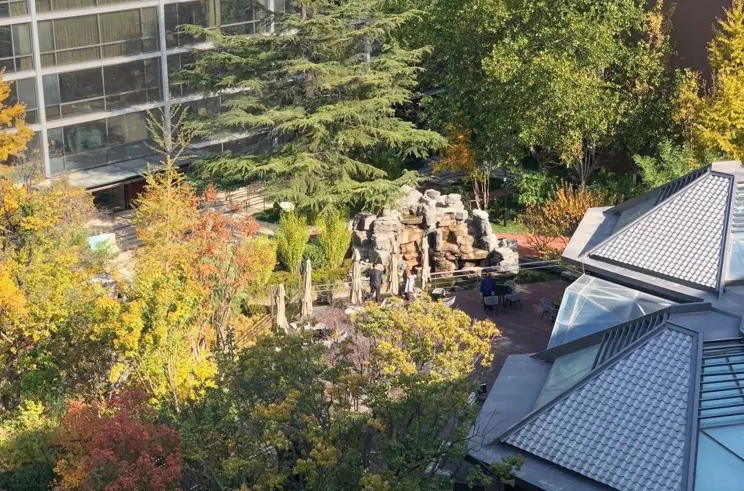 　　▲大家保险·北京朝阳养老社区园区景观