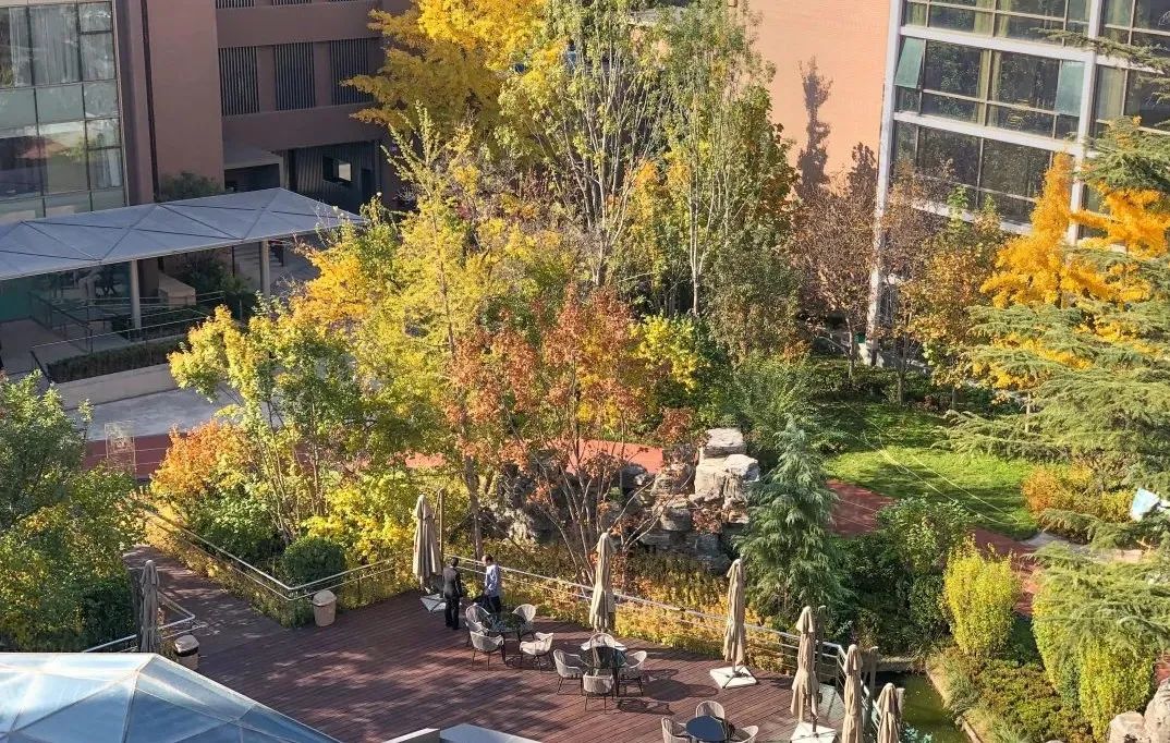 　　▲大家保险·北京朝阳养老社区园区景观